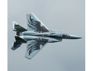 Xfly-Model F-15 Oregon National Guard Twin 40mm EDF Jet PNP Version 